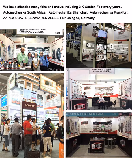 Aeropak Nano Coating Spray Spray impermeabilizzante Spray idrorepellente Spray impermeabile per scarpe/tessili/abbigliamento/scarpe/tende